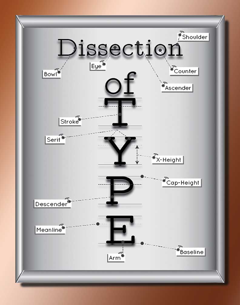 Dissection of Type