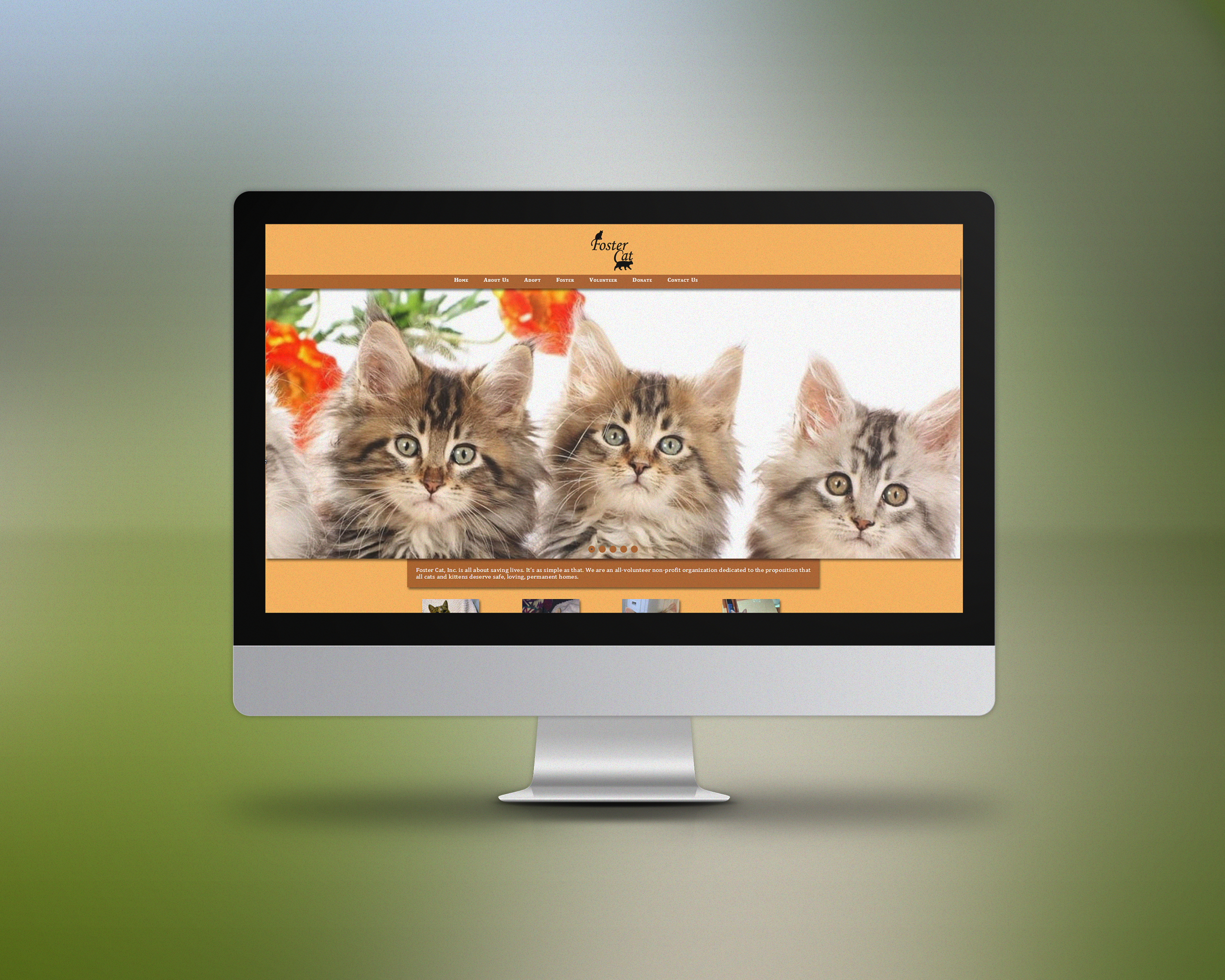 Foster Cat Website